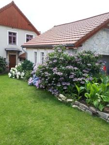 Vonkajšia záhrada v ubytovaní Hortensjowe Wzgórze