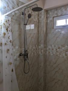 eine Dusche mit Duschkopf im Bad in der Unterkunft Skyland Oasis in Carnbee Village