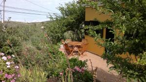 Zahrada ubytování Casa Fátima Valle Gran Rey
