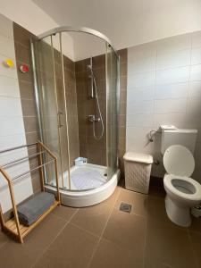 a bathroom with a shower and a toilet at Apartman M & M, Schöne Wohnung nur 200m vom Strand in Zaton