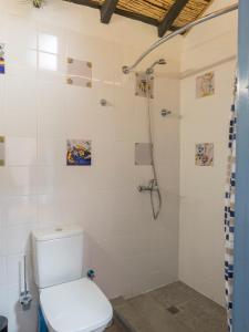 een badkamer met een toilet en een douche bij Vista Del Drago in Icod de los Vinos