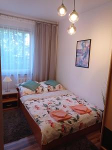 - une petite chambre avec un lit et une fenêtre dans l'établissement MK Apartament I, à Rzeszów