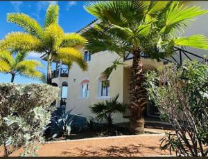 Aed väljaspool majutusasutust Appartement Lora Jan Thiel Curacao