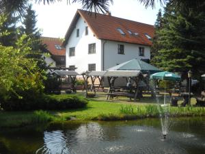 une fontaine dans un étang en face d'un bâtiment dans l'établissement Hotel-Pension Flechsig, à Hartmannsdorf