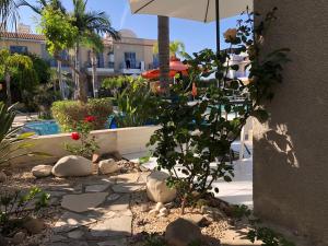 a garden with a plant and an umbrella in a yard at Town House, Ilios II, Kato Paphos in Paphos City