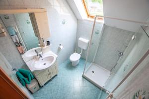 a bathroom with a sink and a shower and a toilet at Bohinj Star Apartments in Bohinj