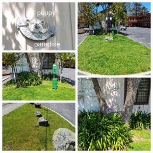 a collage of photos of a yard with grass and a building at North Coast Inn in Crescent City