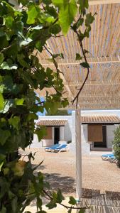 un jarrón blanco sentado en medio de un patio en Can Chumbera Formentera, en Cala Saona