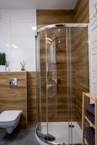 Ένα μπάνιο στο Apartamenty ROZETA Poronin