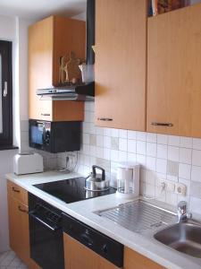 kuchnia ze zlewem i kuchenką górny piekarnik w obiekcie Apartment Seeblick w mieście Zell am See +26 zdjęć