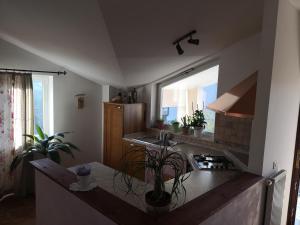 a kitchen with a sink and a counter with plants at Appartment Štajon in Izola