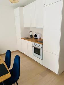Dapur atau dapur kecil di Apartamentai “Viola” Juodkranteje
