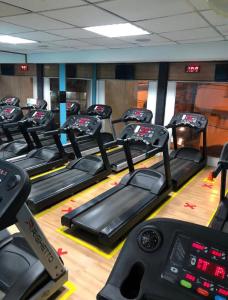 里約熱內盧的住宿－佩蒂特里約酒店，健身房里的一排跑步机