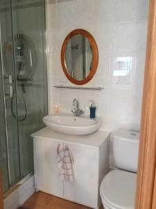 Courtemaux的住宿－Chez Magali，一间带水槽、卫生间和镜子的浴室