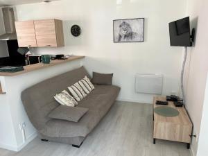 Televízia a/alebo spoločenská miestnosť v ubytovaní Lourdes : Superbe T2 42m2