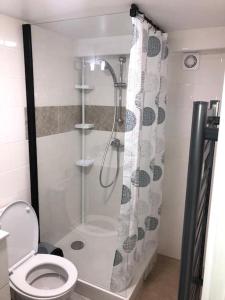 a bathroom with a shower and a toilet at Le petit viry in Viry-Châtillon +8 photos