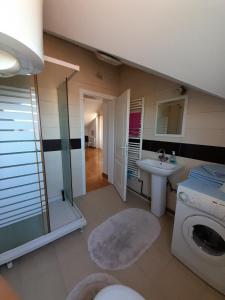 ein Badezimmer mit einer Waschmaschine und einem Waschbecken in der Unterkunft Apartment Ken in Surčin