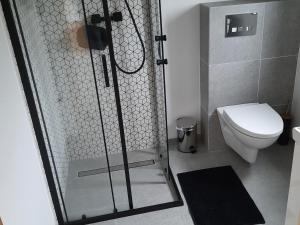 a shower stall in a bathroom with a toilet at Domki Dobrogoszcz in Dobrogoszcz +18 photos