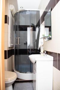 COSY STUDIO IN NOVE ZAMKY tesisinde bir banyo