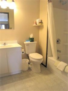 a bathroom with a toilet and a sink and a shower at Bear Country Inn and Suites in Mountain View