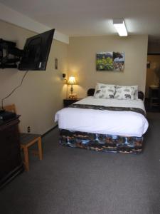 a bedroom with a bed and a flat screen tv at Bear Country Inn and Suites in Mountain View