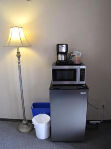eine Mikrowelle auf einem Kühlschrank neben einer Lampe in der Unterkunft Bear Country Inn and Suites in Mountain View