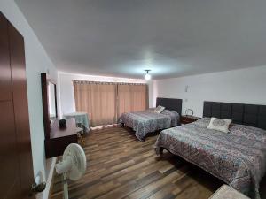 depa #5 recién remodelado en planta alta في زاكاتيكاس: غرفة فندقية بسريرين ومروحة