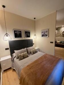 a bedroom with a large bed with two pillows at Apartamentos Rosa La Bonita in Avilés