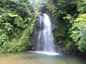Paesaggio naturale nelle vicinanze dell'appartamento