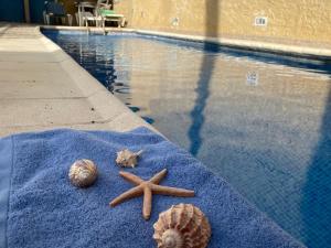 Bazén v ubytování Centrico apartamento con piscina nebo v jeho okolí
