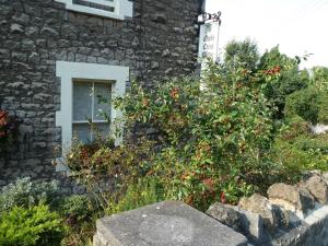 a stone building with a window and a bush with red flowers at The Owls Crest House B&B in Weston-super-Mare +7 photos