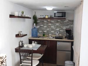 Il comprend une cuisine équipée d'un évier et d'un comptoir avec un four micro-ondes. dans l'établissement Nuevo Depa #7 tipo loft en Planta Alta en Centro Histórico, à Zacatecas