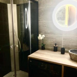 a bathroom with a shower with a sink and a counter at Charmant studio au pieds des remontées mécaniques. in Villard-de-Lans