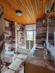 La salle de bains est pourvue d'un lavabo et de toilettes. dans l'établissement Off-Grid Getaway with Ocean Views in Paradise, à Pahoa