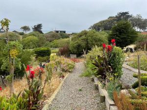 Amplia casa frente al mar, camino a Punta de Lobos في بتشيلمو: حديقة بها زهور ونباتات على تلة