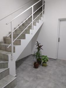 een trap in een witte kamer met twee potplanten bij Monoambiente Estela in San Pedro