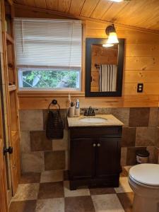 a bathroom with a sink and a toilet and a window at Woodard Cabin in Cullowhee