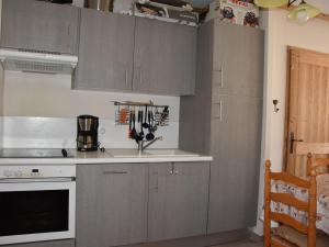 kuchnia z szarymi szafkami i zlewem w obiekcie Appartement familial avec parking et proche des pistes - FR-1-464-201 w mieście Pralognan-la-Vanoise +10 zdjęć