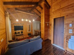 A Place To Dream في Ẕippori: غرفة معيشة بها أريكة وتلفزيون