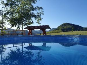 einen Pool mit einem Tisch und einem Baum in der Unterkunft Brancoveanu Glamping in Văratici