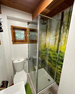 a bathroom with a toilet and a glass shower at Ferienhütte Hochalm in Lunz am See