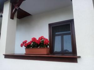 Kazsimér Vendégház 3935 Erdőhorváti, 19 Mező utca kép - 2