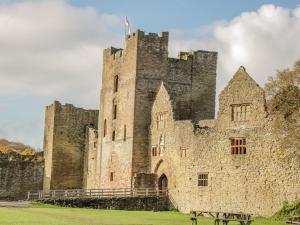 an old castle with a flag on top of it at 138C Old Star & Garter Mews in Ludlow