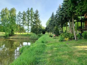 ścieżka obok rzeki z drzewami w obiekcie Dom Wakacyjny z ogromnym ogrodem w mieście Witaszyn