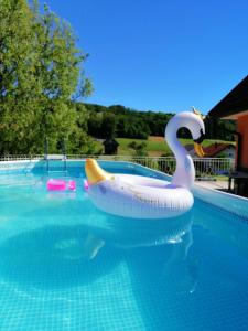 an inflatable swan in a swimming pool at Apartment Tina with Seasonal Pool in Podsreda