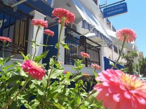 Zahrada ubytování Hotel Asimina Laganas