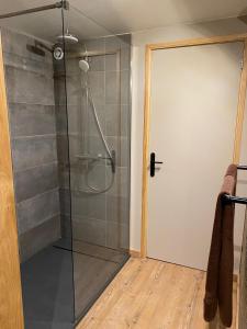a shower with a glass door in a bathroom at Le Petit Bleu Chambre d'hôtes in Bourg-de-Visa +22 photos