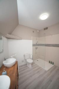 古爾東恩凱爾西的住宿－Le petit cocon de la butte，一间带水槽、卫生间和淋浴的浴室