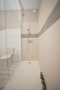 古爾東恩凱爾西的住宿－Le petit cocon de la butte，带淋浴和卫生间的白色浴室