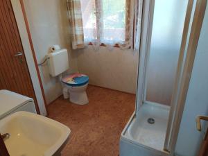 y baño con aseo, lavabo y ducha. en Pelso Vendégház en Balatonmáriafürdő